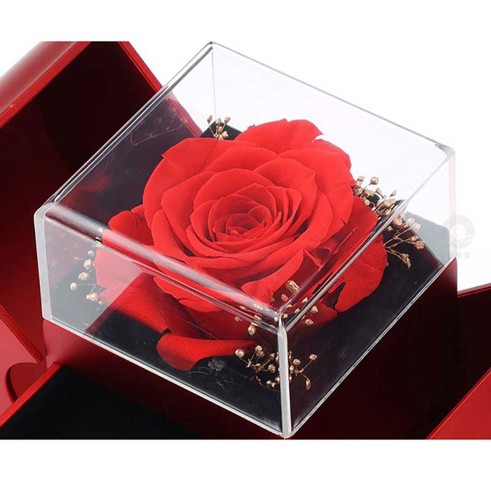 Elegant Jewelry Box & Necklace – The Perfect Gift for Your Loved One!